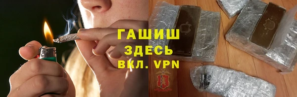 прущие грибы Балахна