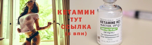 прущие грибы Балахна