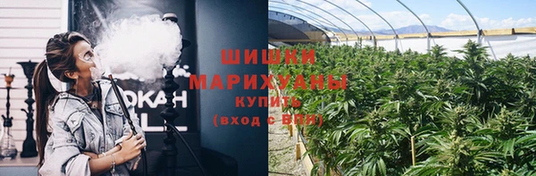 прущие грибы Балахна