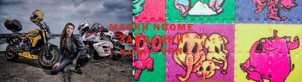 прущие грибы Балахна