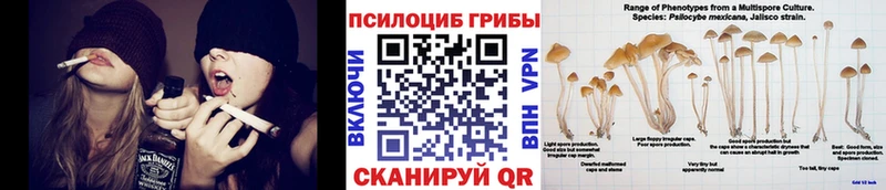 купить закладку  Наволоки  Псилоцибиновые грибы Cubensis 